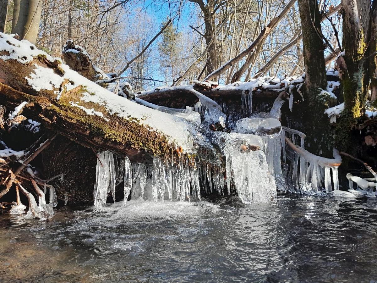 Kuznia Nowica Uscie Gorlickie Exterior foto